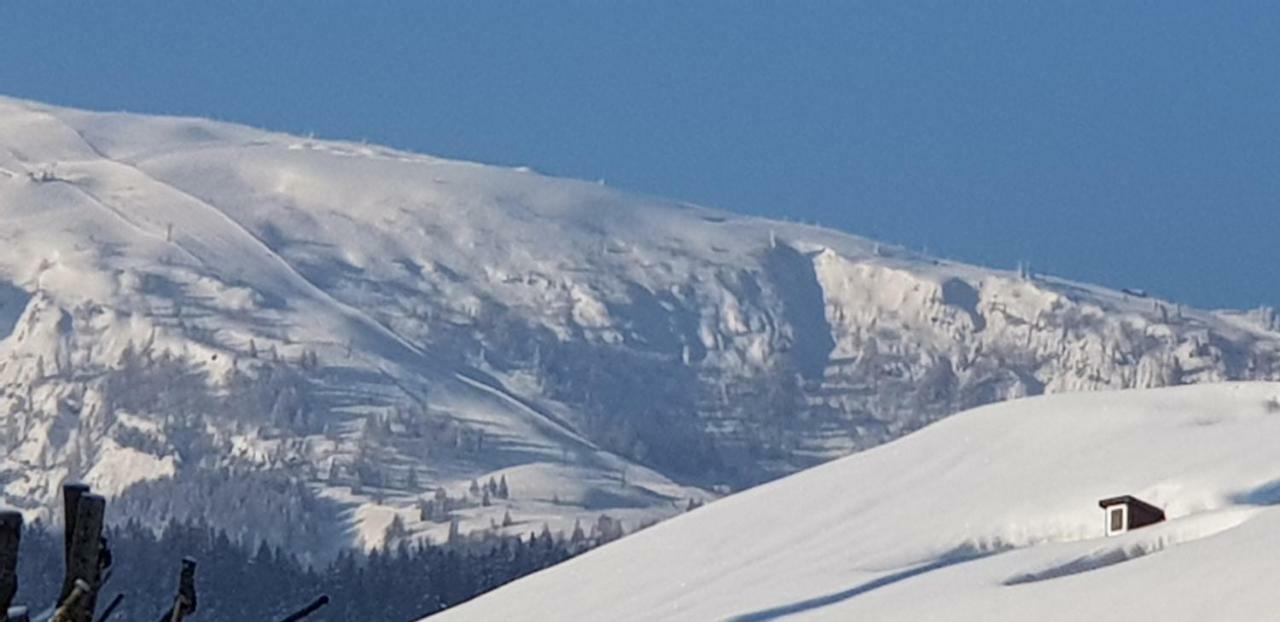Zum Alten Forsthaus Reit im Winkl Dış mekan fotoğraf