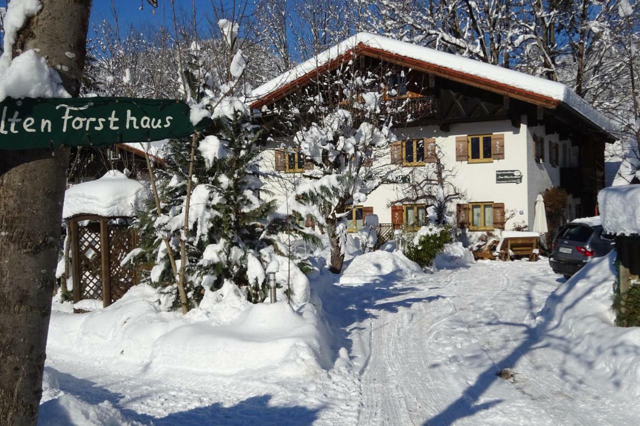 Zum Alten Forsthaus Reit im Winkl Dış mekan fotoğraf